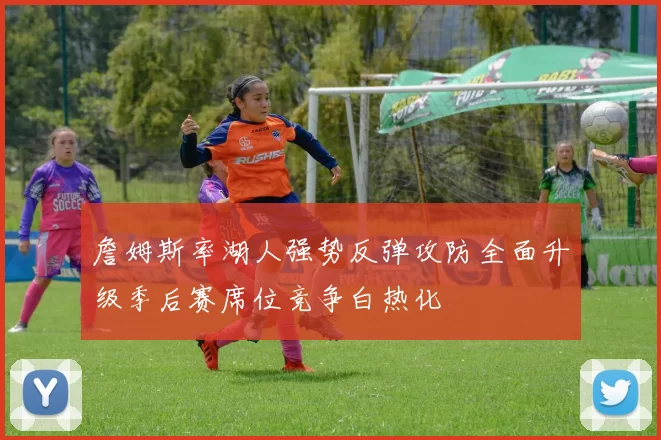 詹姆斯率湖人强势反弹攻防全面升级季后赛席位竞争白热化