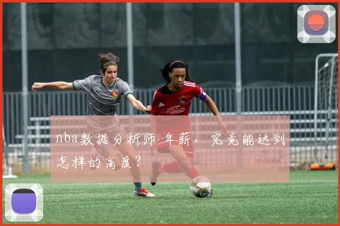 nba数据分析师 年薪，究竟能达到怎样的高度？