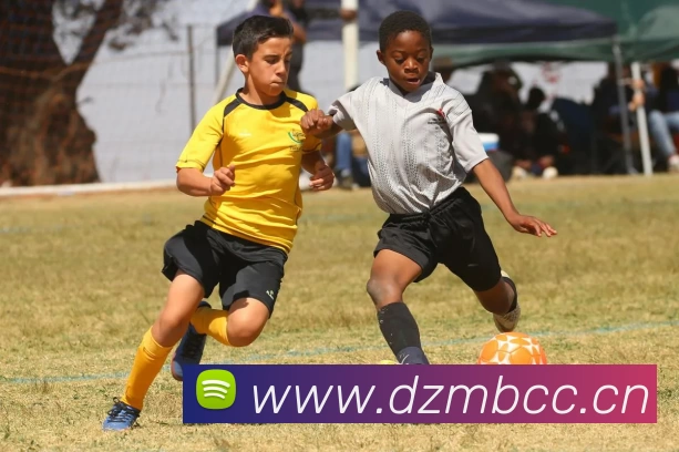 开云(中国)Kaiyun·官方网站 - 登录入口服务体系